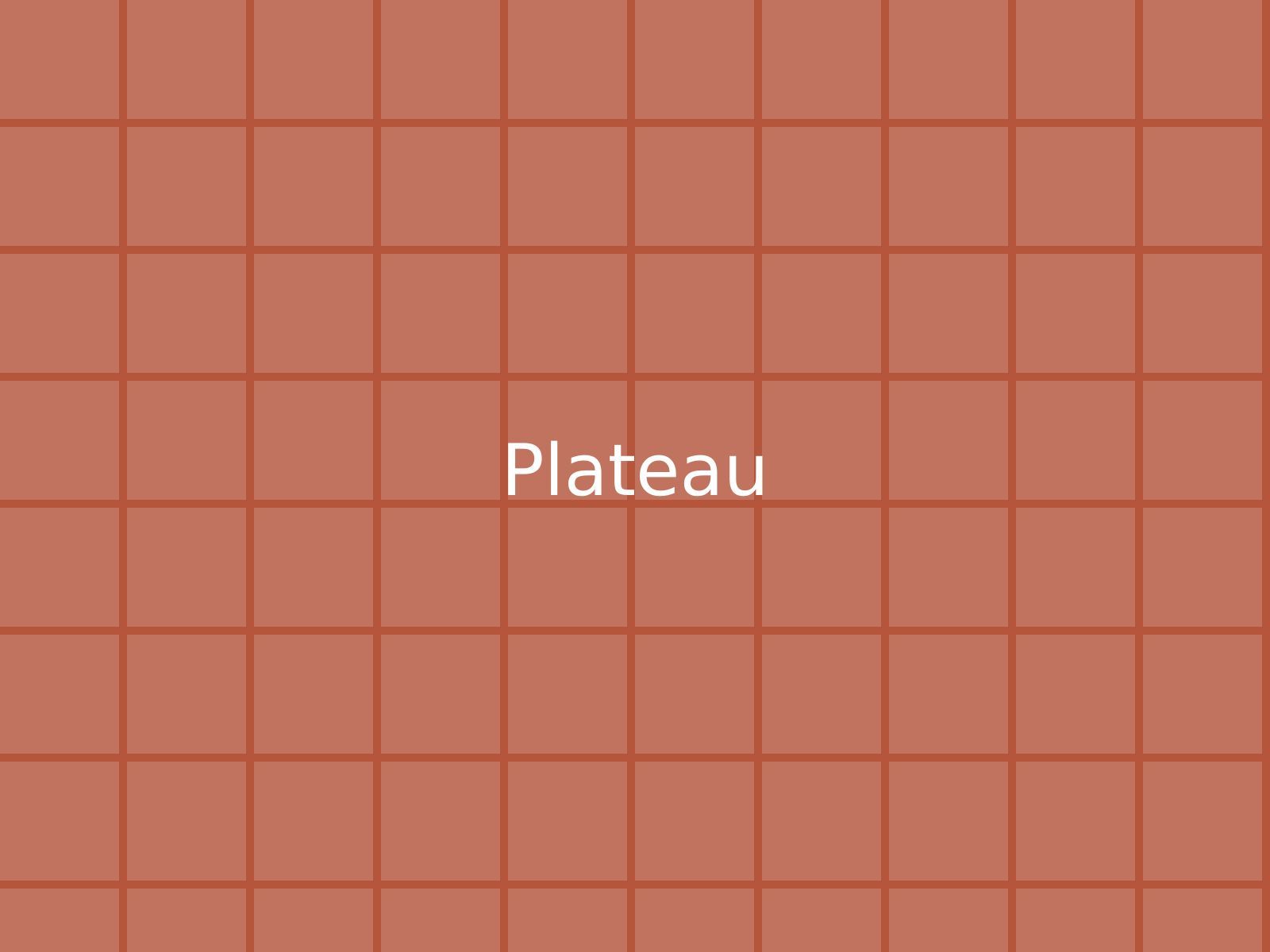 Plateau Carreaux terracotta vu de dessus